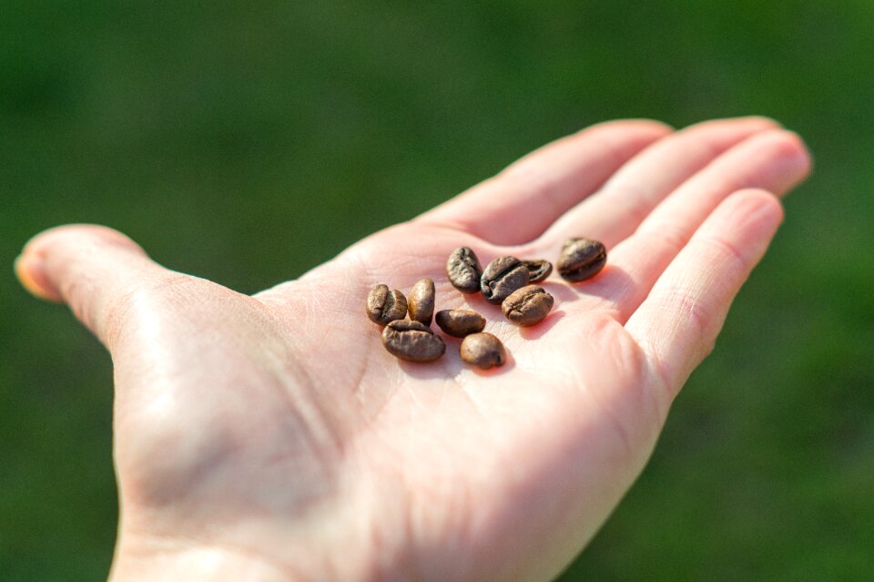 Hand cup background photo