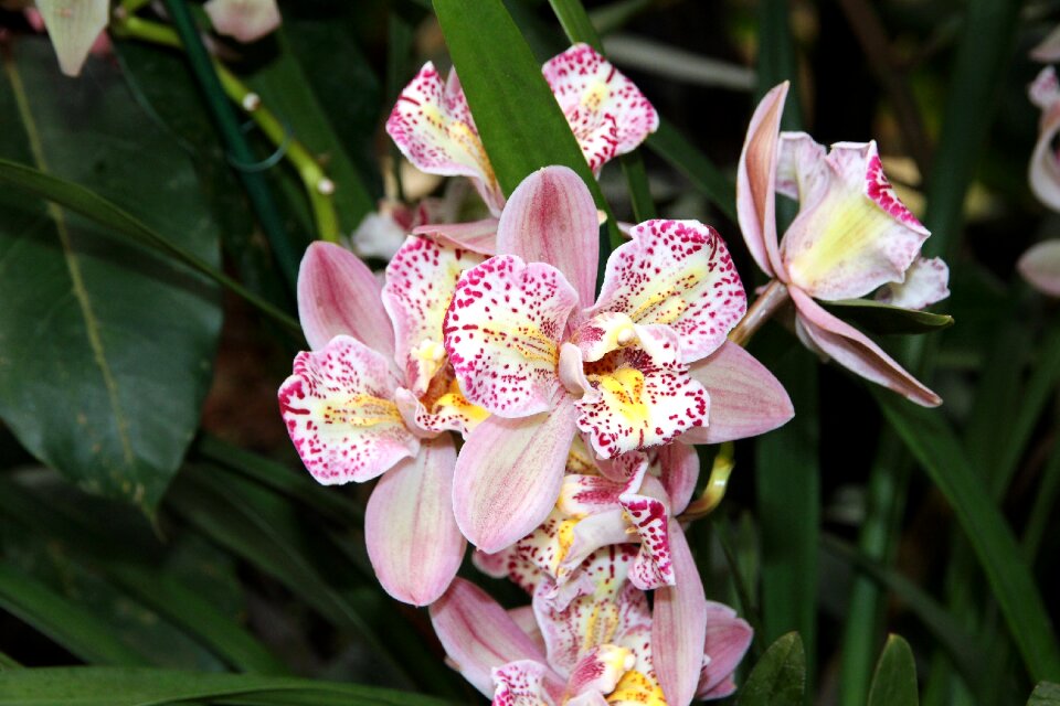 Nature sheet garden