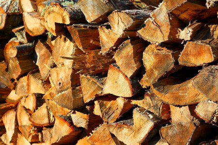 Stacked wood cord wood woodpile