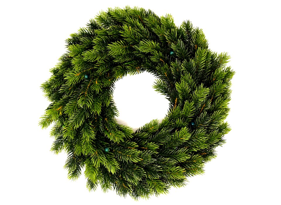 Green evergreen pine needles