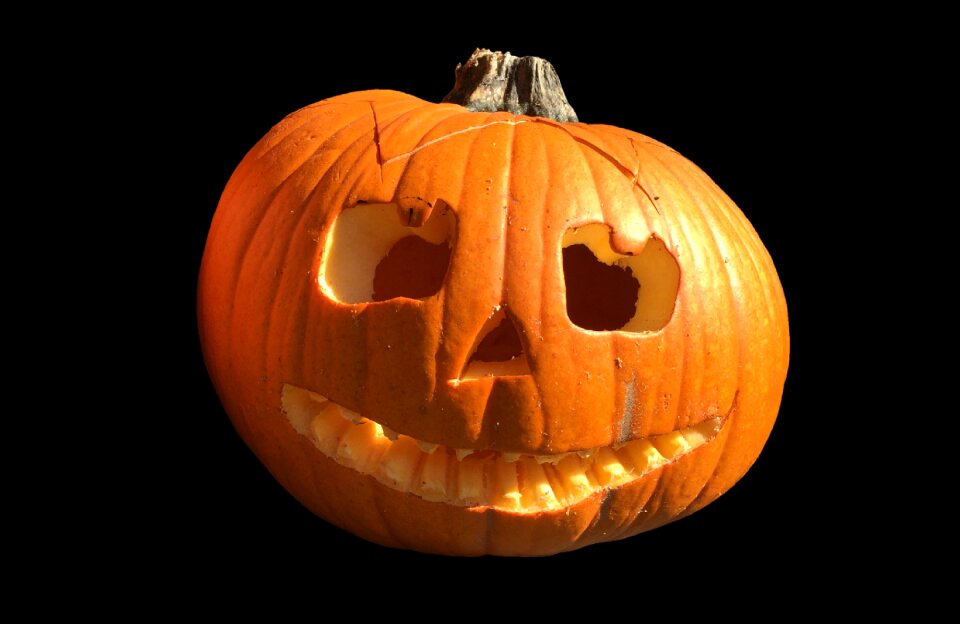 Autumn cucurbita maxima choose