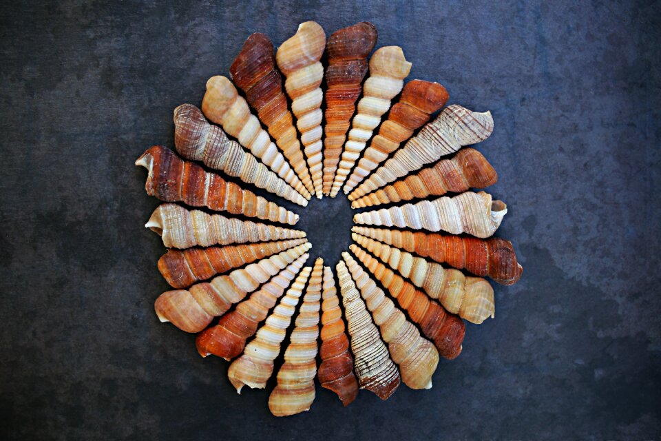 Spiral vacation summertime