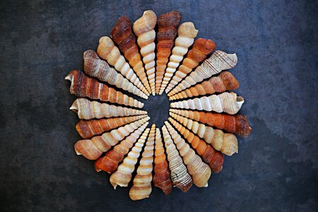 Spiral vacation summertime
