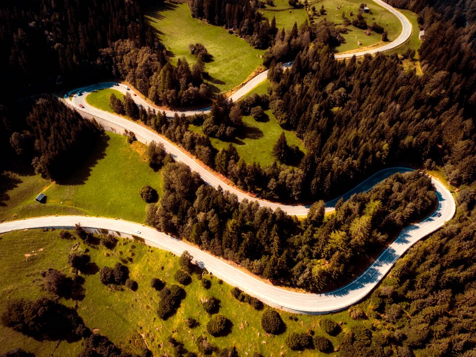 Woods trees aerial view