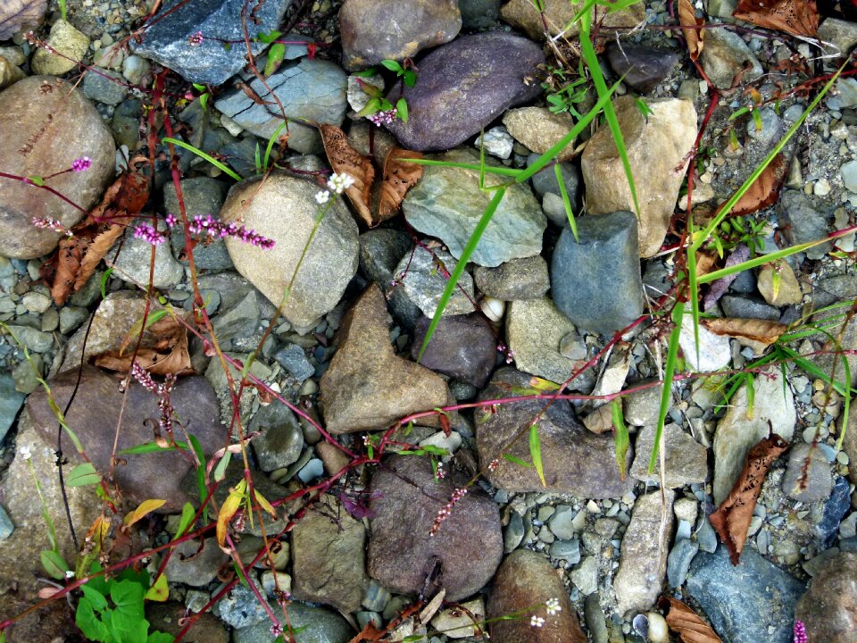 Texture surface nature