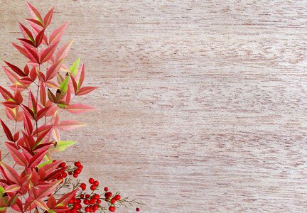 Leaves berries decoration