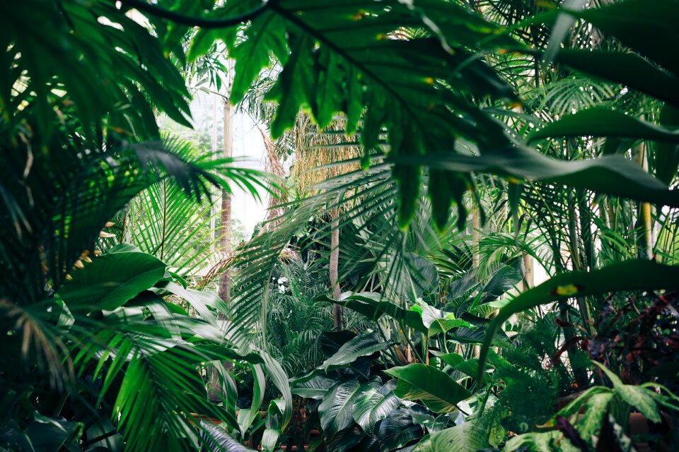 Nature garden farm