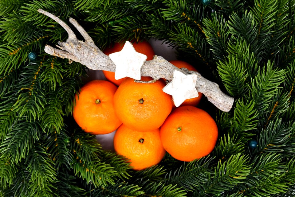 Deco christmas time fir green
