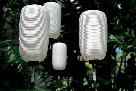 Nature lantern art