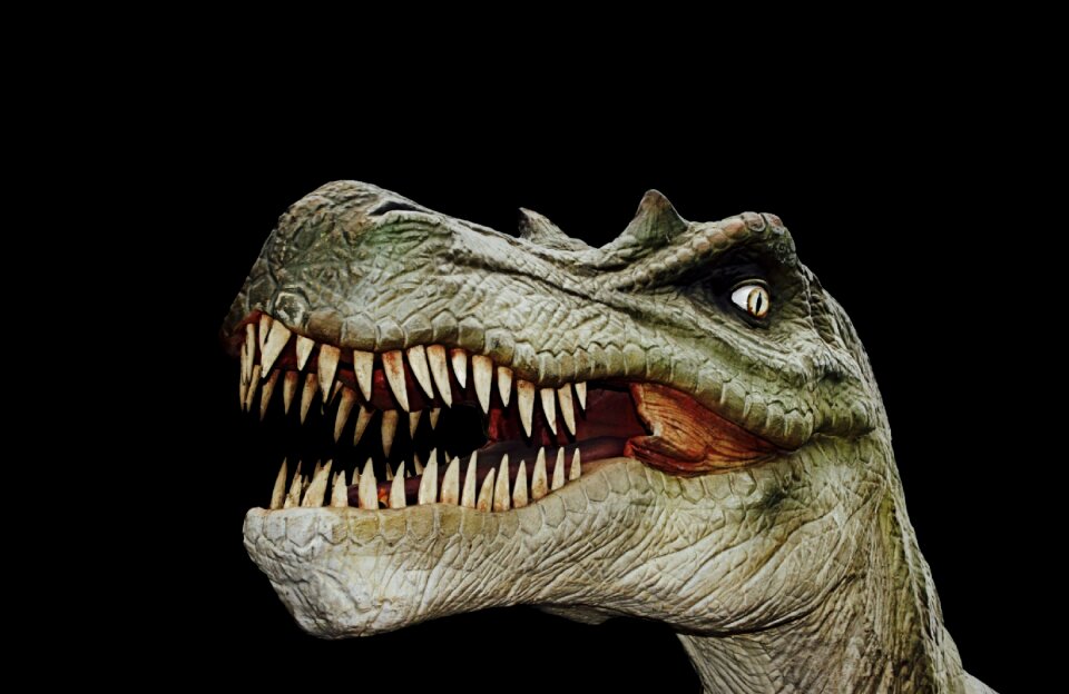 Prehistoric times t rex carnivorous dinosaurs