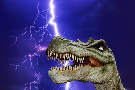 Prehistoric times t rex carnivorous dinosaurs photo