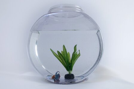 Water aquatic glass