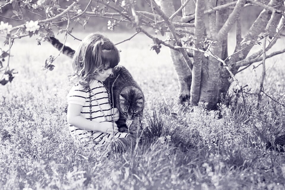 Outdoors child cat photo