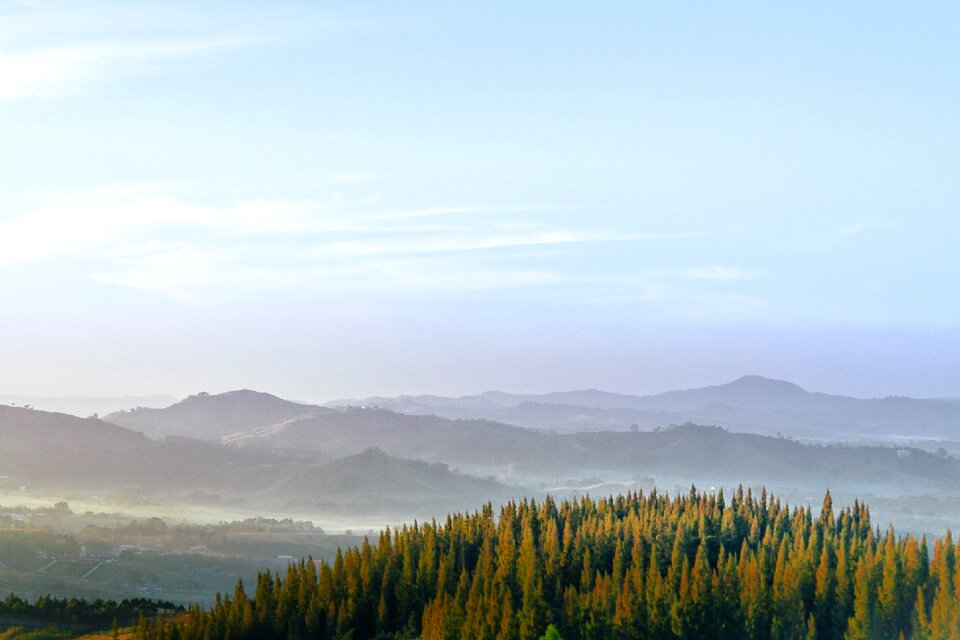 Thai lovely forest photo