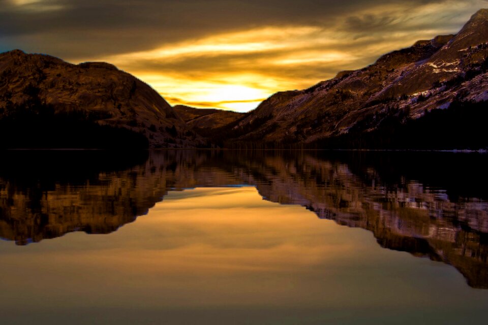 Nature environment sunset