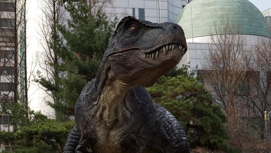 Outdoors dinosaurs tyrannosaurus