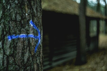 Blur outdoor gray arrow