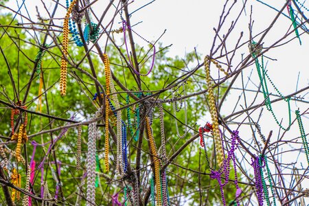Mardi gras beads louisiana celebrate