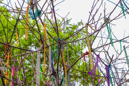 Mardi gras beads louisiana celebrate photo