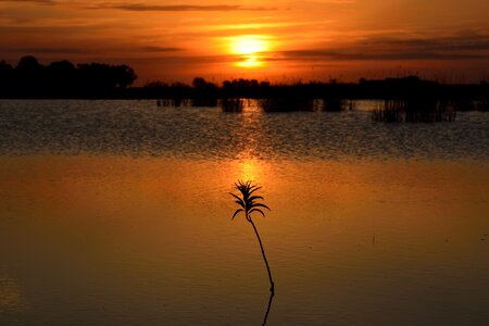 Natural landscape setting sun laguna photo