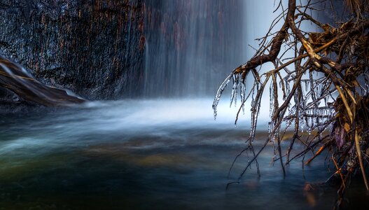 Tree plants blue waterfall
