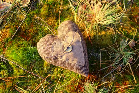 Nature at the court of moss