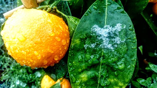 Healthy colorful tasty