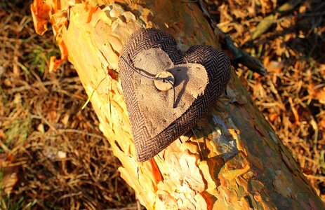 Nature at the court of tree