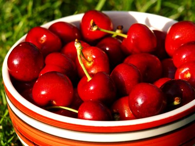 Cherry the freshness the bowl photo