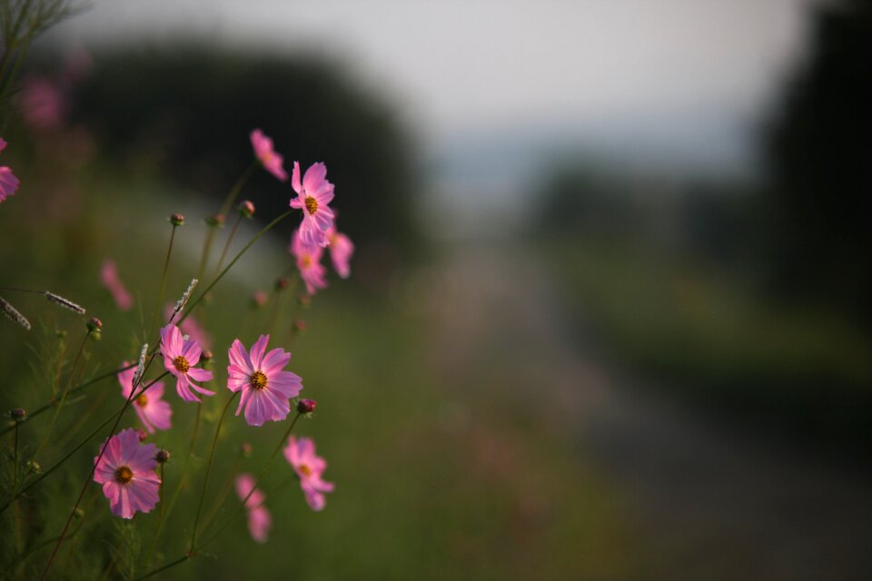 Outdoors summer autumn