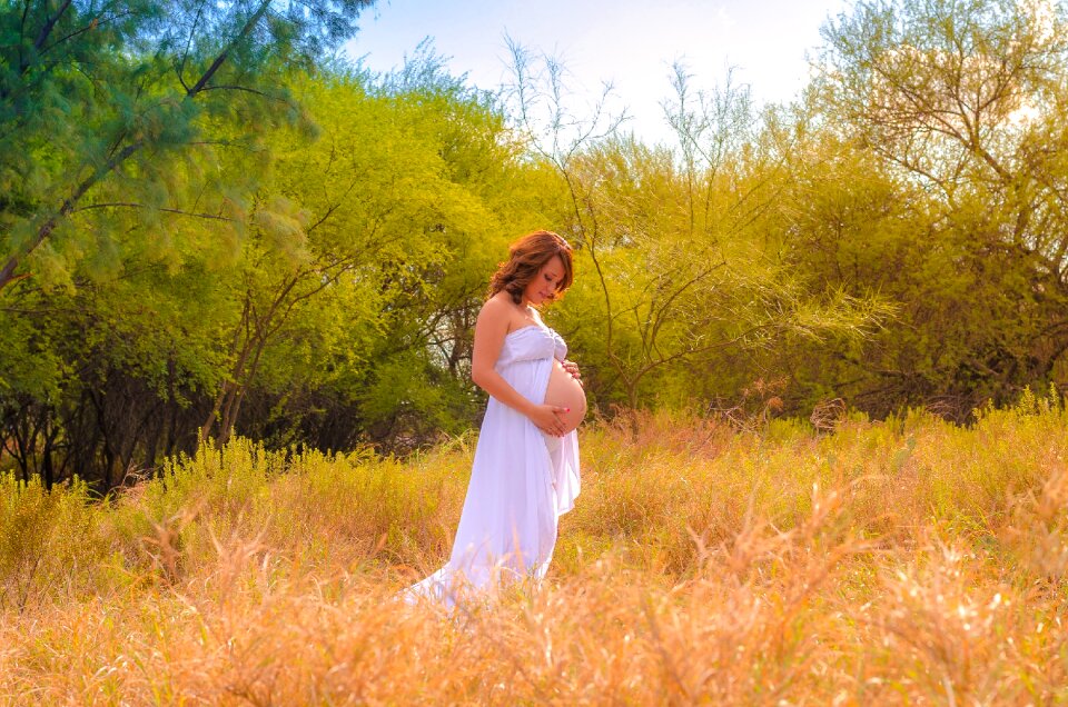 Tree henar pregnancy