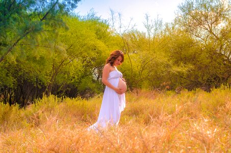 Tree henar pregnancy