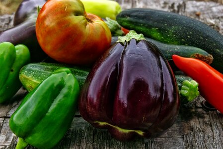 Bio harvest vegetable garden