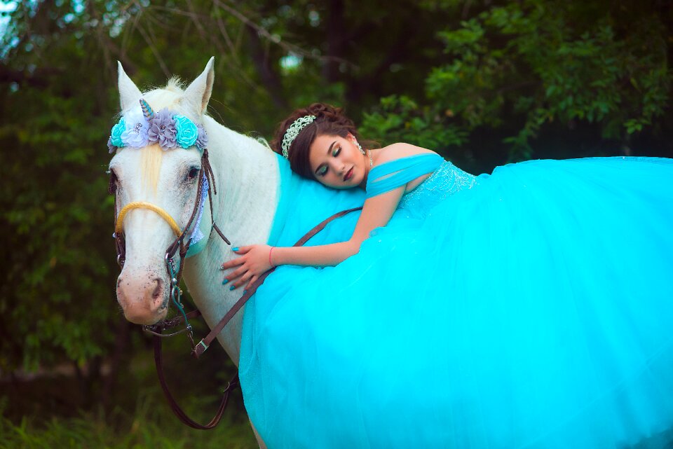 Nice horse xv años