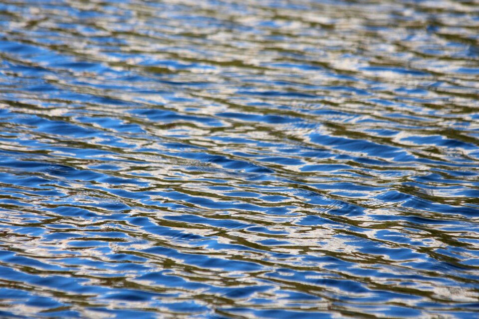 Water body of water the surface of the water
