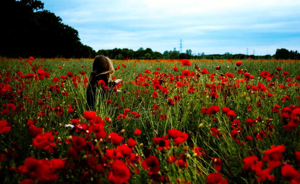 Alone solo field photo