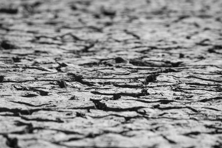 Dirty dry drought