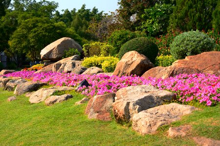 Park garden convert