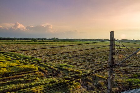 Agriculture asia rice photo