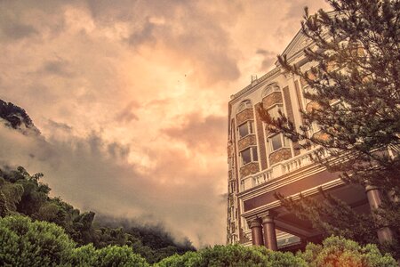 Tree tourism building