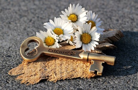 Love wood valentine's day