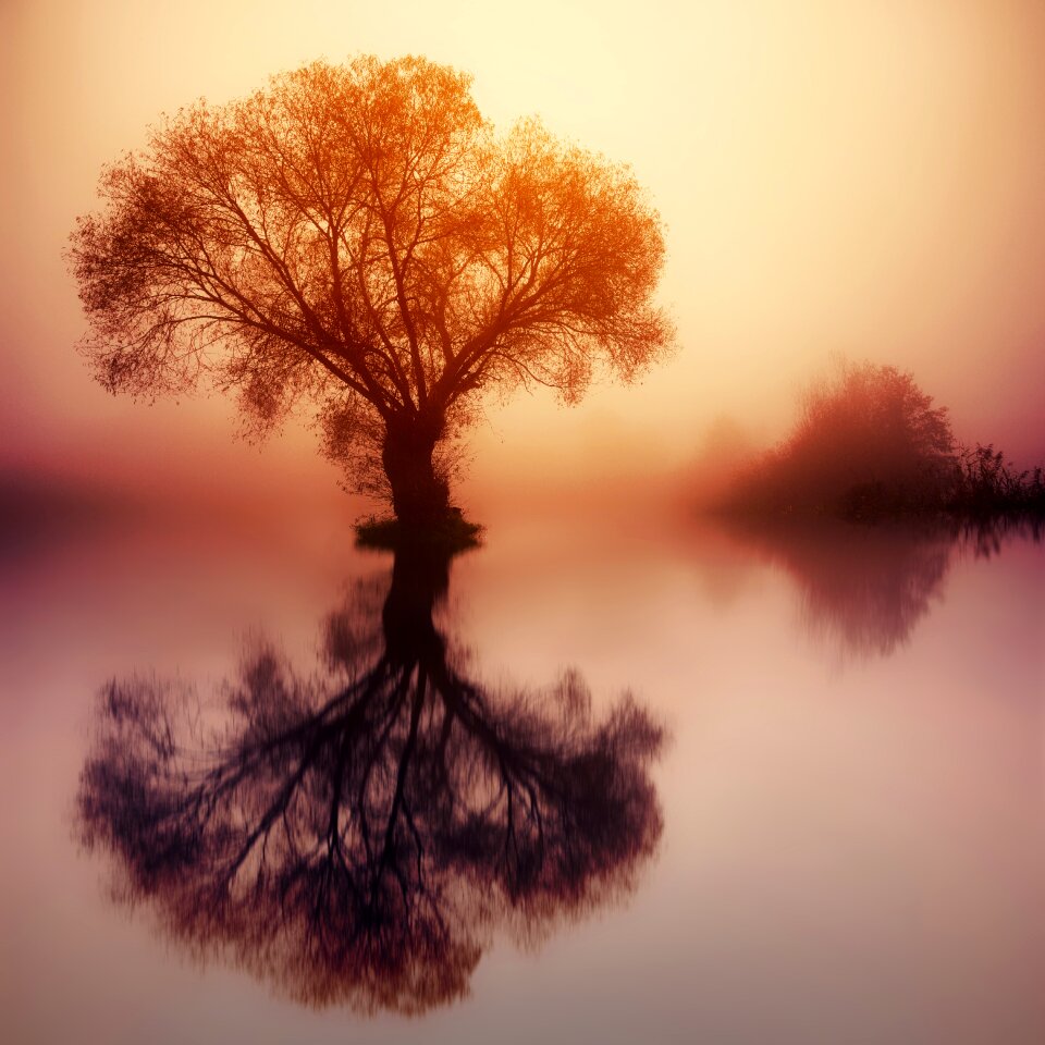 Sunset nature colourless