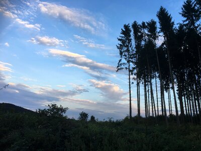 Sunset romance landscape