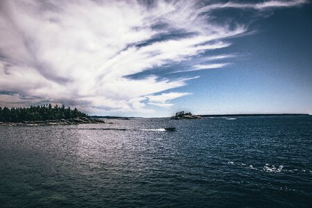 Trees sea ocean photo