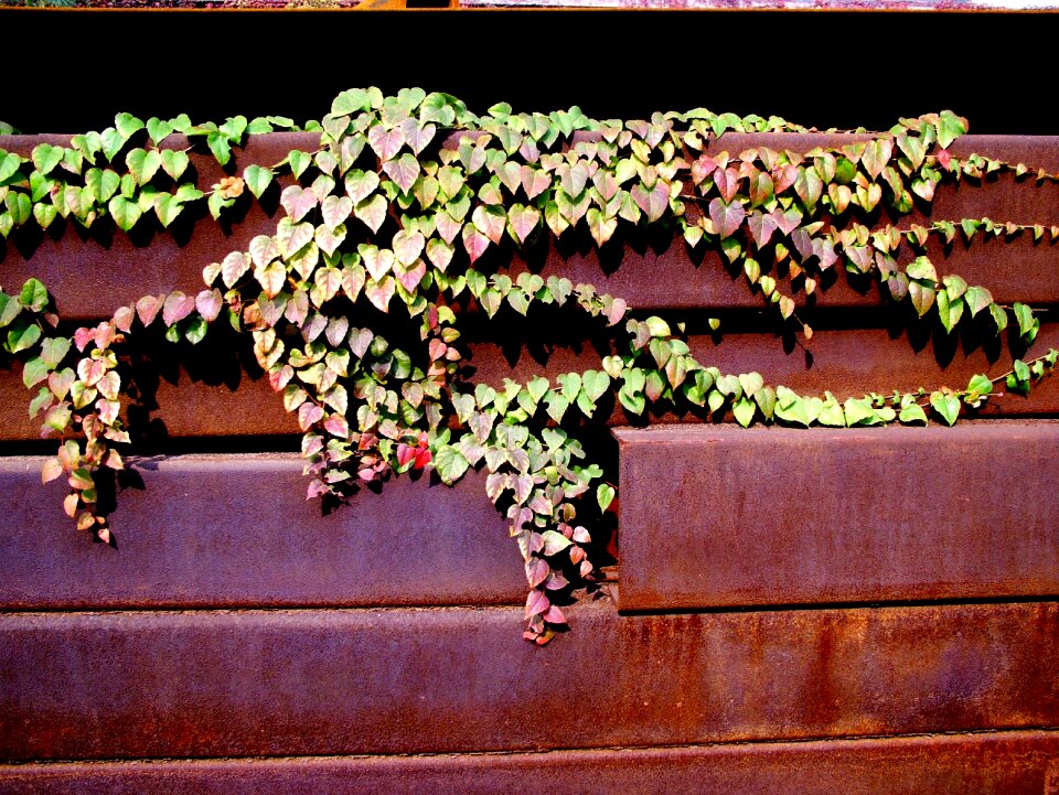Autumn factory the scenery