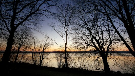 Landscape twilight forest