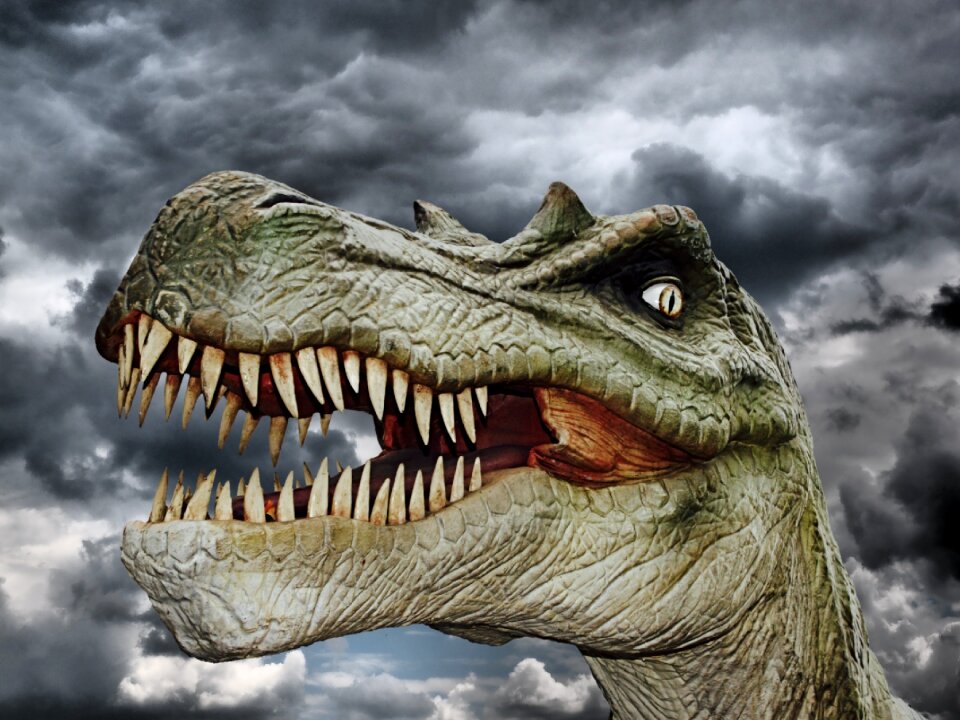 Prehistoric times t rex carnivorous dinosaurs