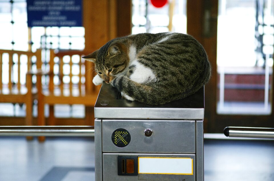 Sleepyhead sleep relax