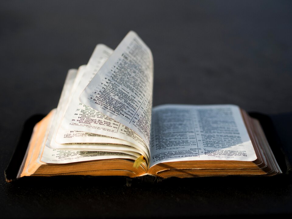 Bible reading religion