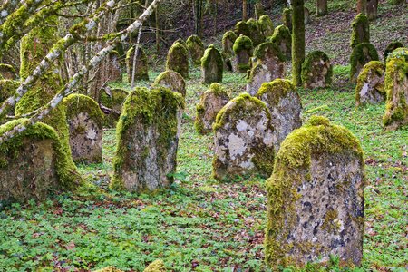 Cemetery forest hill photo